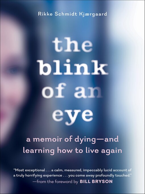 Cover image for The Blink of an Eye